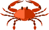 Cancer Daily Horoscope