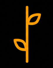 Anuradha